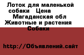 Лоток для маленькой собаки › Цена ­ 1 100 - Магаданская обл. Животные и растения » Собаки   
